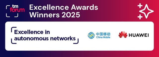 Excellence in Autonomous Networks​