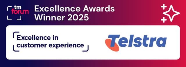Excellence in Customer Experience​