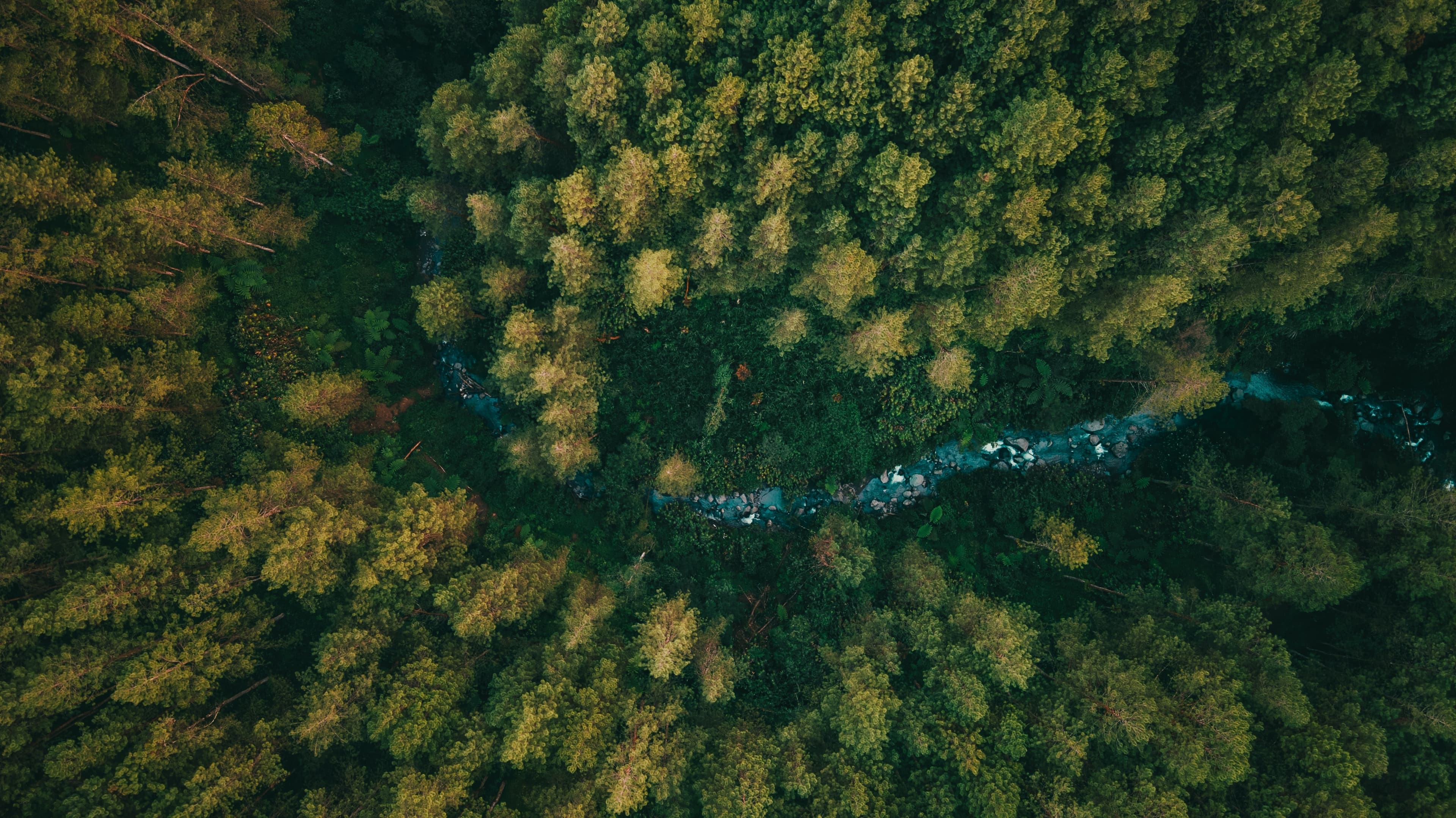 AI-driven sustainable connectivity: Cutting emissions for higher impact